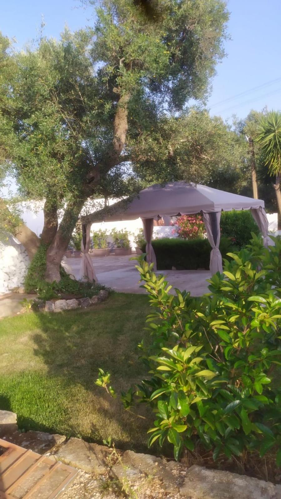 Villa Il Trullo Di Nonno Mingo Ceglie Messapica Exterior foto